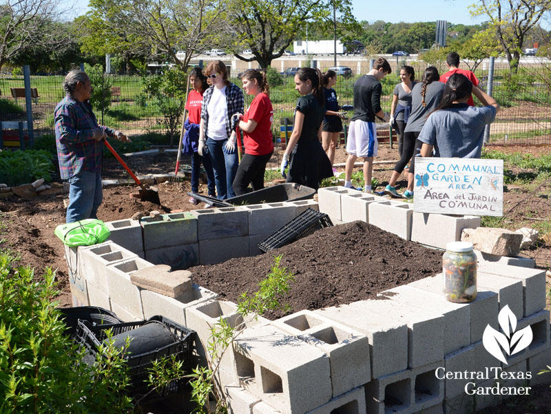 communal garden student volunteers Festival Beach Community Garden Central Texas Gardener