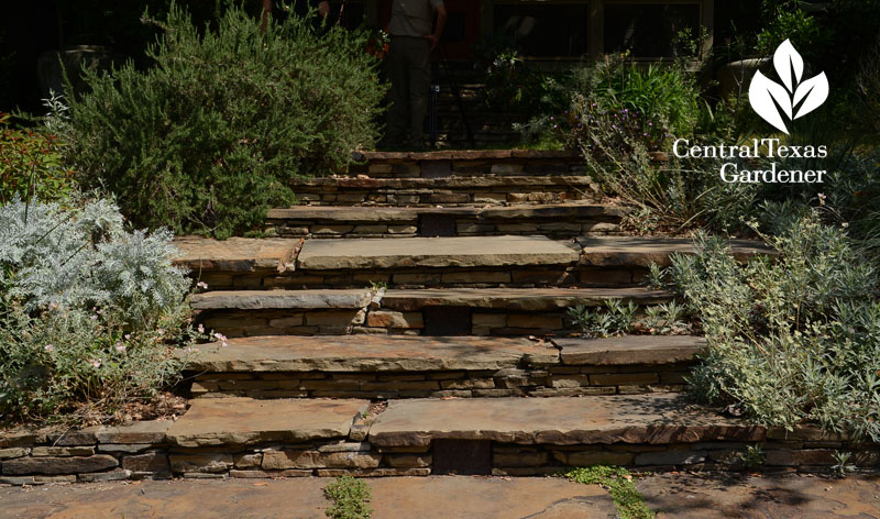 Oklahoma flagstone sidewalk Central Texas Gardener