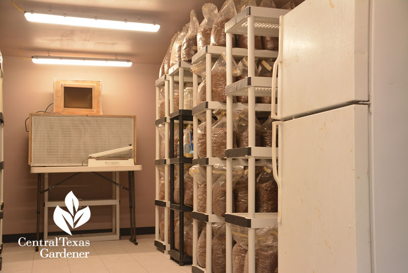 mushroom lab Central Texas Gardener