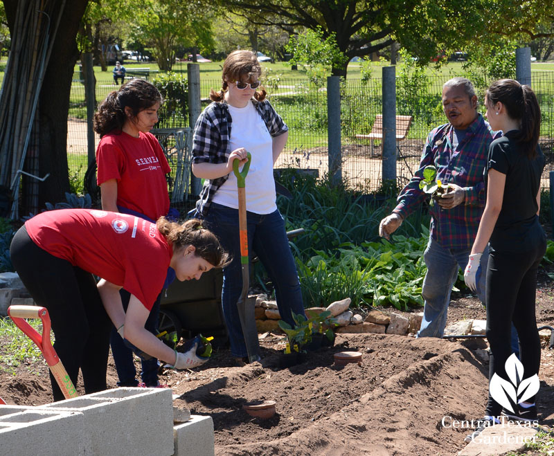 student volunteers with Julio Perez Festival Beach Community Gardener Central Texas Gardener