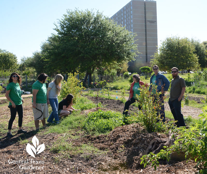 volunteers behind Festival Beach Food Forest Central Texas Gardener