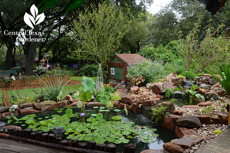 gorgeous small pond and waterfalls natural look Ferrier and Monfrini garden Central Texas Gardener