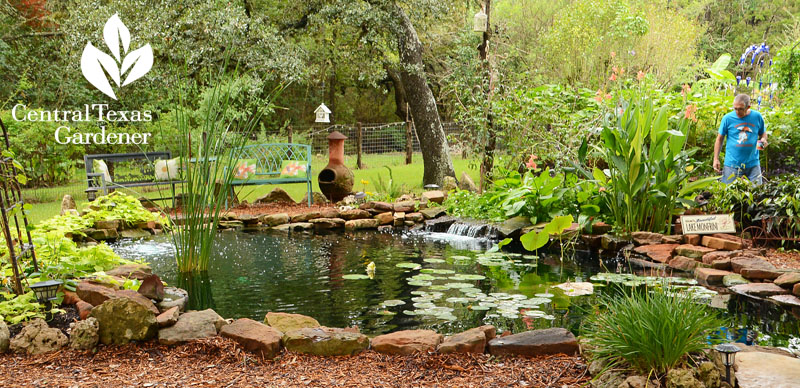 koi pond natural design and filtration Jeannie Ferrier and Steven Monfrini Central Texas Gardener