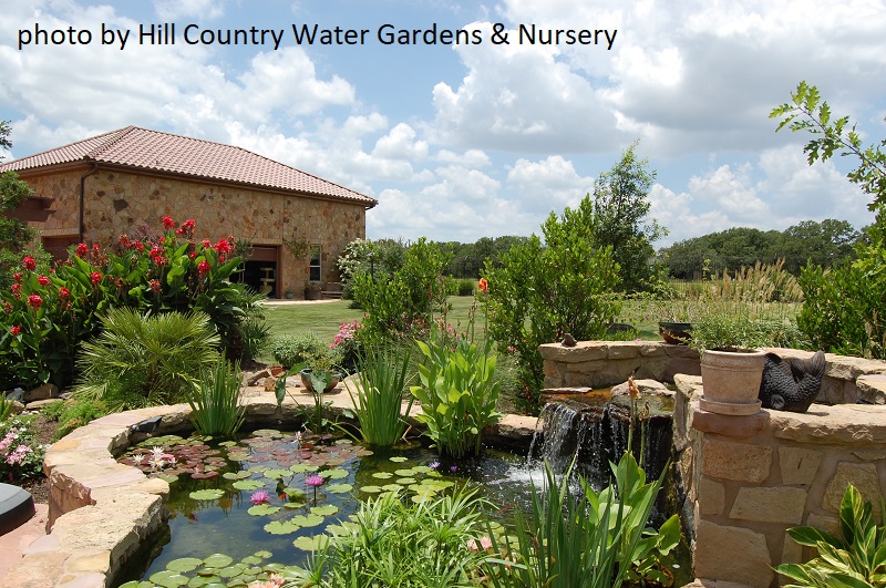 Living It Up Pond Patio Design Central Texas Gardener