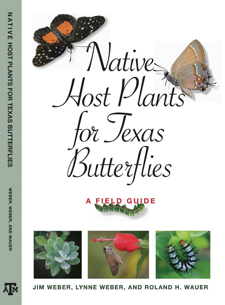 گیاهان میزبان بومی برای پروانه های تگزاس توسط جیم و لین وبر