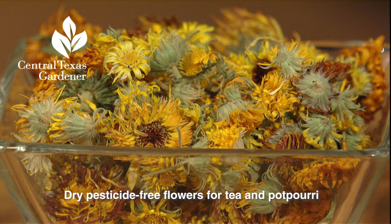 dried calendula flowers