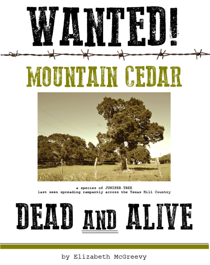 Elizabeth McGreevy book Wanted Mountain Cedar Dead and Alive Central Texas Gardener