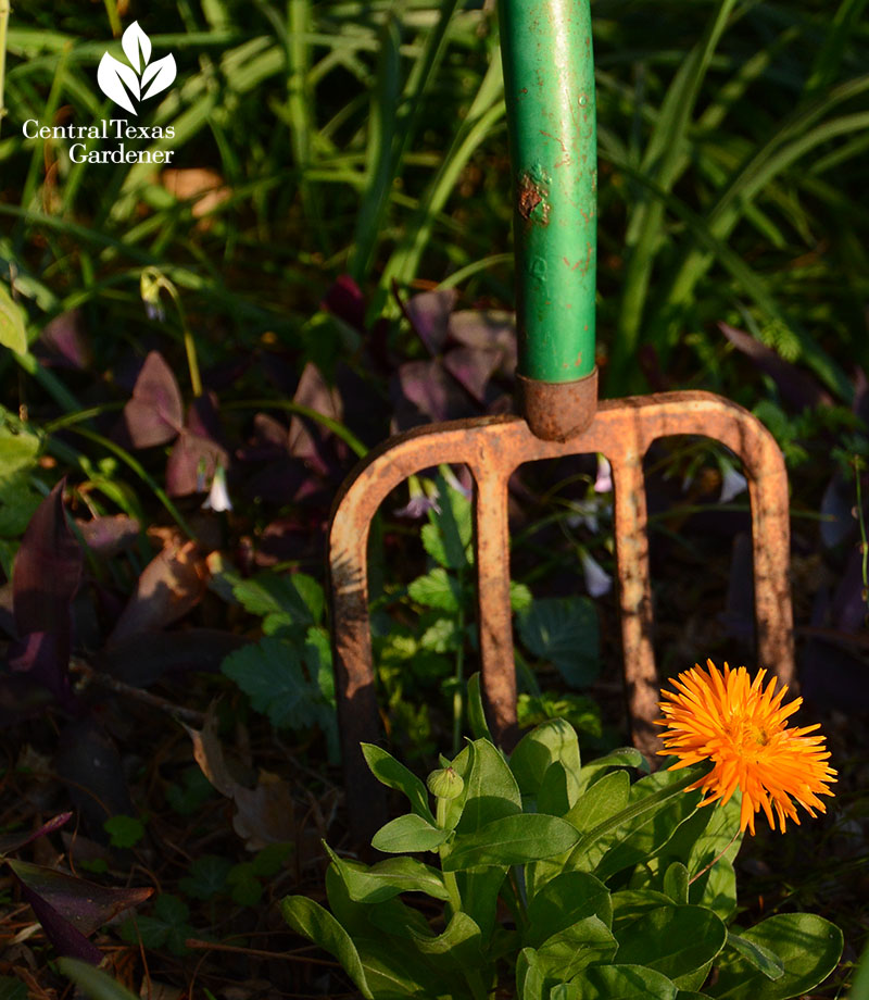 garden tool garden art with orange flower 