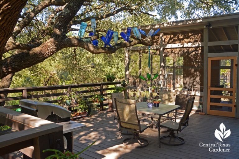 Garden Style in Drought Central Texas Gardener