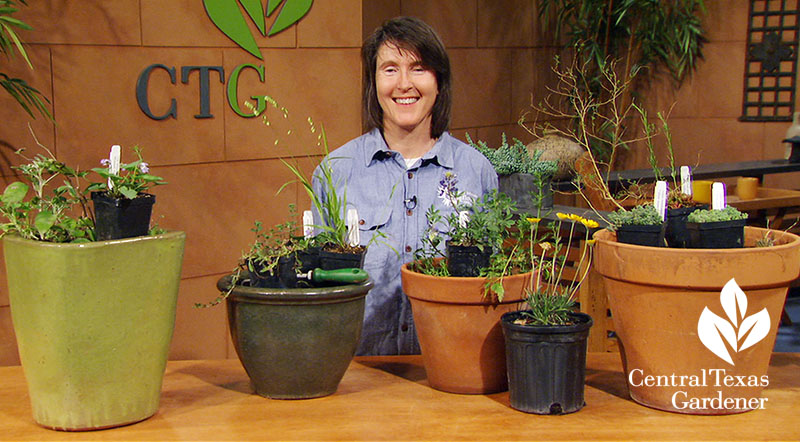 Native container plants Leslie Uppinghouse Central Texas Gardener