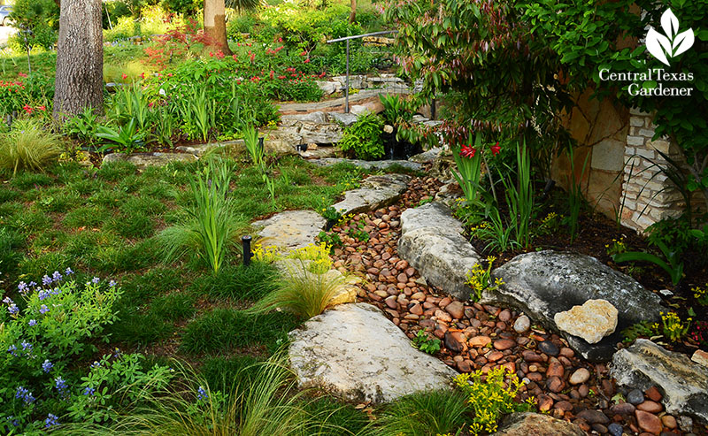 Ravine Waterfall Design Sedge Lawn, Dry Creek Bed Landscape Plants