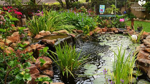 romantic stone lined pond Robert Jennings gardener in Cedar Park backyard Hill Country Water Garden design Central Texas Gardener