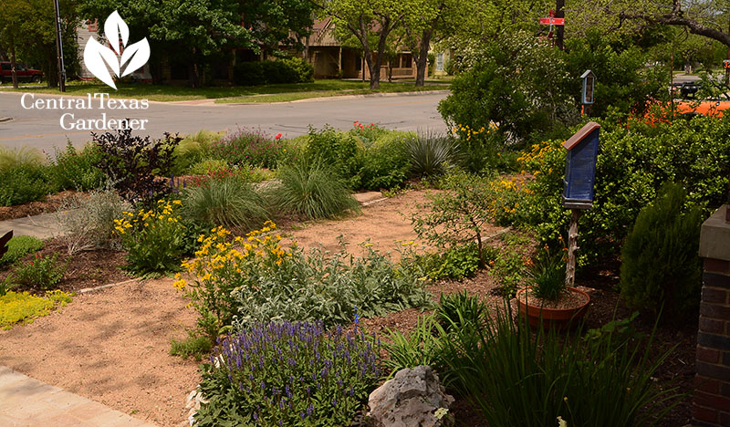 Hot & Dry Doesn’t Mean Blah Gardens | Central Texas Gardener