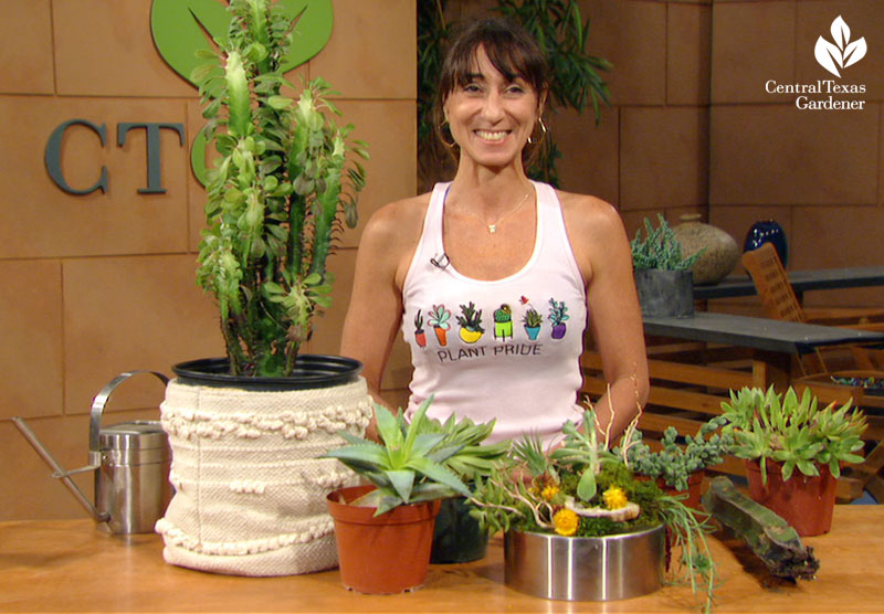 woman with succulent plants