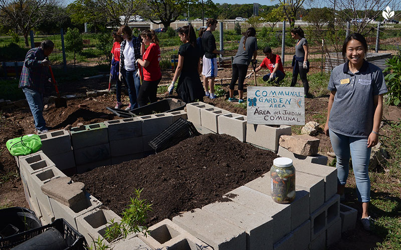 Festival Beach Community Garden Central Texas Gardener