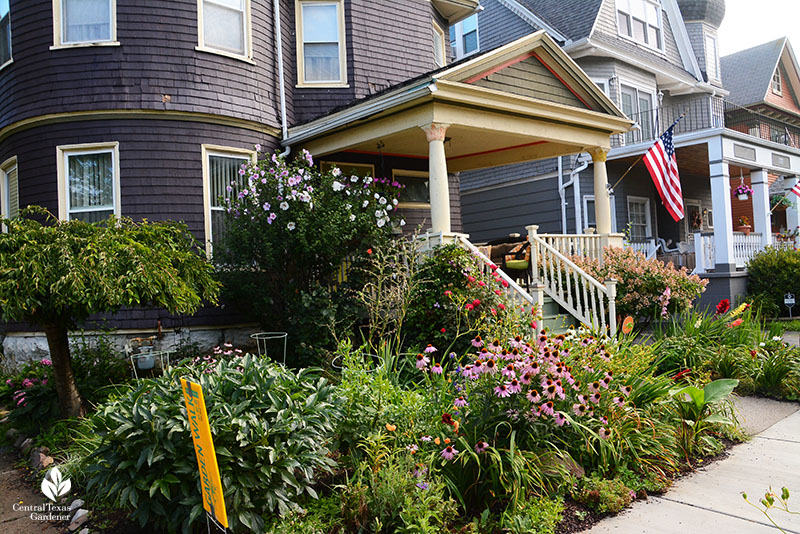 Buffalo New York charming front yard garden Central Texas Gardener