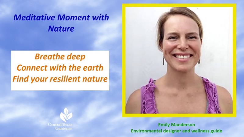 Emily Manderson Our Resilient Nature
