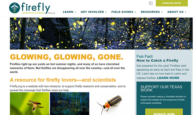 Firefly Conservation and Research Central Texas Gardener