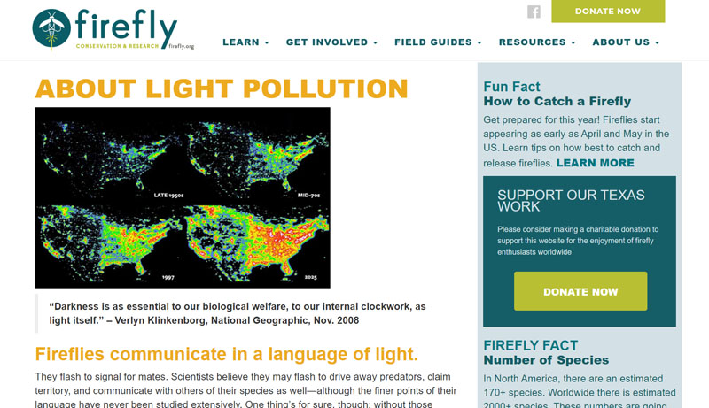 Firefly Conservation and Research light pollution Central Texas Gardener