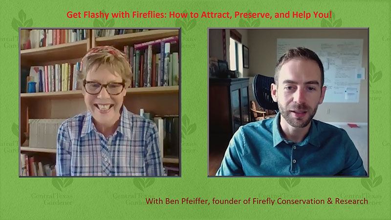 Linda Lehmusvirta and Ben Pfeiffer Firefly Conservation and Research Central Texas Gardener