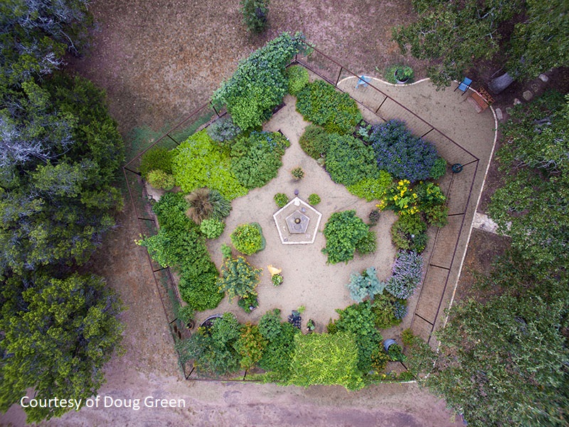 Doug Green pentagonal garden deer proof butterfly and bee habitat Central Texas Gardener