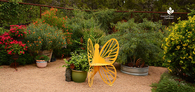 butterfly chair, butterfly vine pentas tropical milkweed fence Doug Green habitat Central Texas Gardener