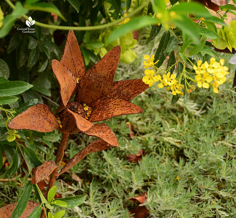 metal flower sculpture with butterfly vine flowers Doug Green habitat garden Central Texas Gardener