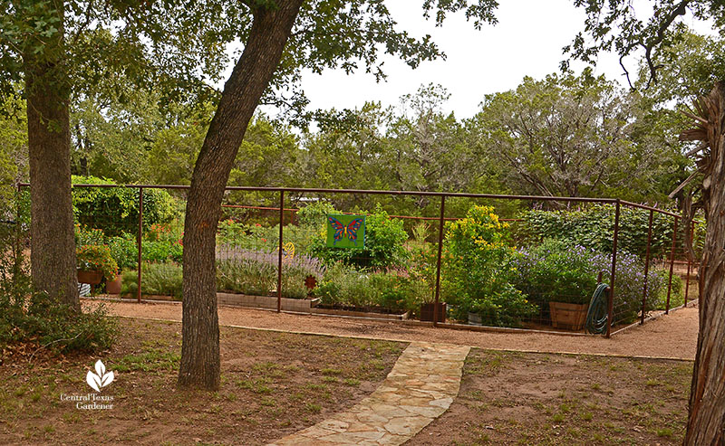 path to enclosed deer proof habitat garden Doug Green Central Texas Gardener 