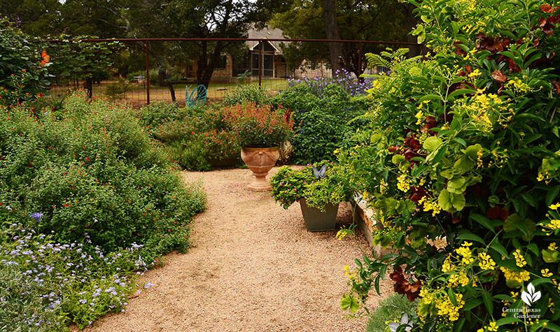 Decomposed granite path through butterfly plants Doug Green garden Central Texas Gardener