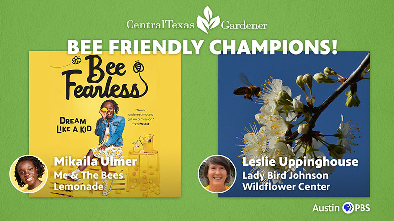 Bee Champions Mikaila Ulmer and Leslie Uppinghouse Central Texas Gardener