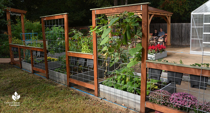 Square Foot Gardens Ellen and Rick Bickling Central Texas Gardener