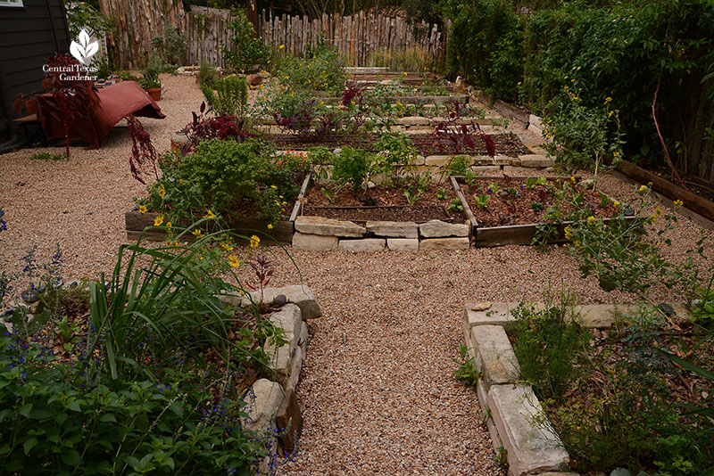 raised vegetable beds organic garden Meredith Thomas