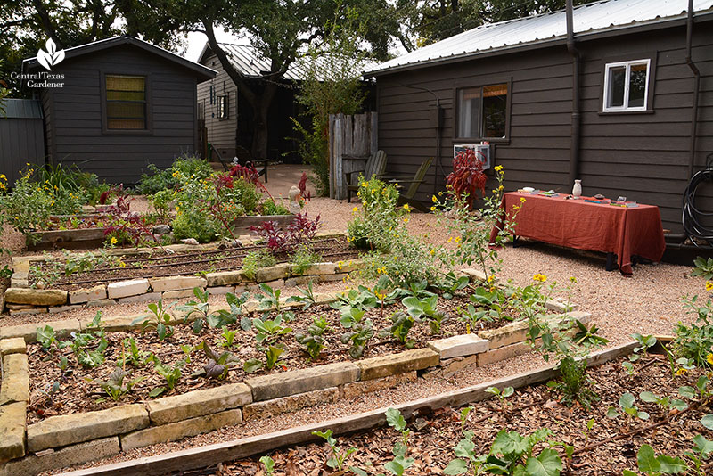 Raised vegetable and herb beds organic garden Meredith Thomas