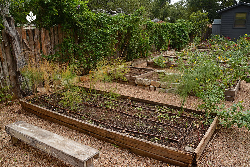 raised vegetable beds stone wood wild plants fall vegetables summer flowers Meredith Thomas