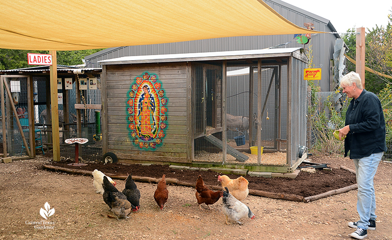 Chicken coop cute and safe design Kay Angermann