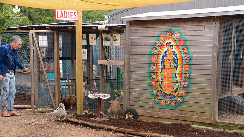 Chicken coop with attached dog run more room Julie Nelson garden