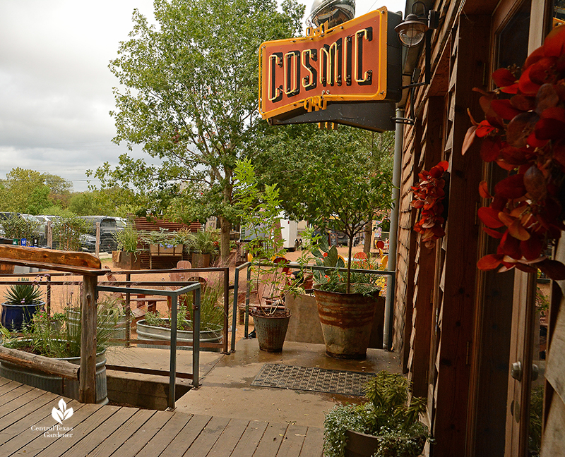 Cosmic Coffee + Beer Garden entrance Central Texas Gardener