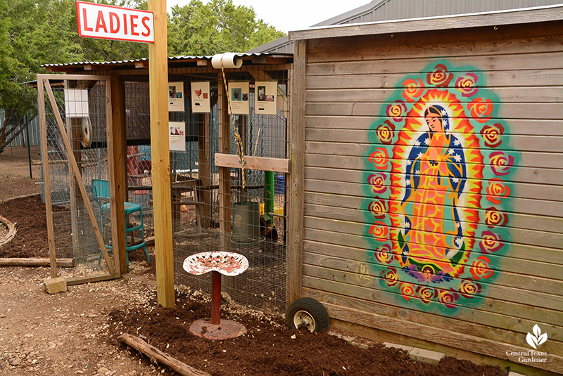 El Federico Our Lady of Guadalupe mural on chicken coop Julie Nelson Kay Angermann