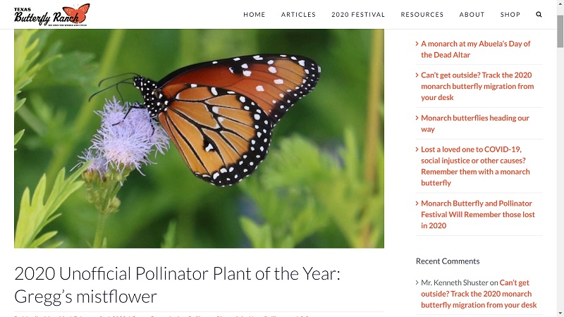 Habitat and pollinator resources The Texas Butterfly Ranch