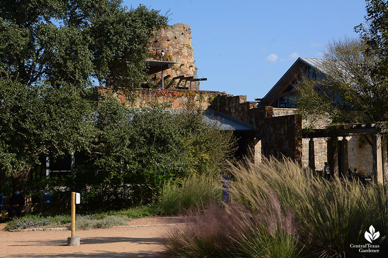 Lady Bird Johnson Wildflower Center tower muhly grasses Central Texas Gardener