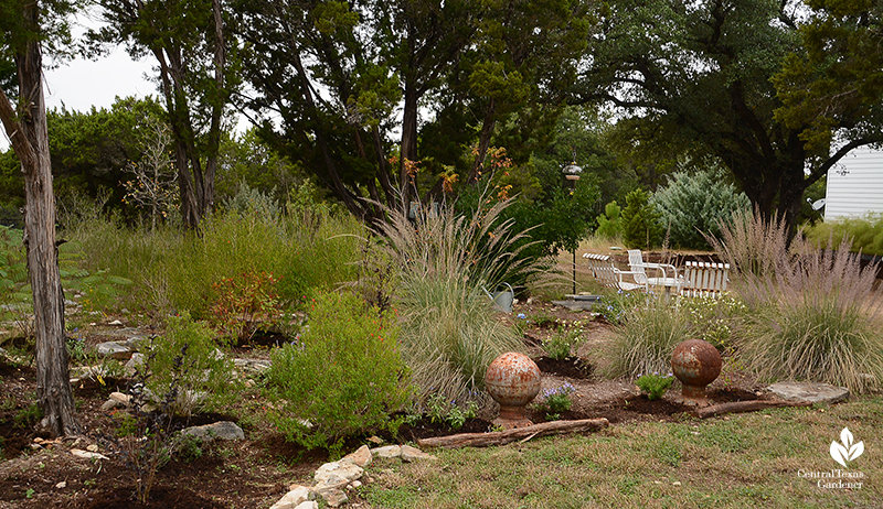 Lindheimer muhly and native perennials under mountain cedars and oak trees Julie Nelson and Kay Angermann property