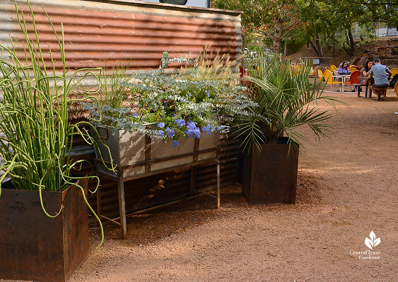 Planter design recycled and metal containers foliar texture patio Cosmic Coffee + Beer Garden