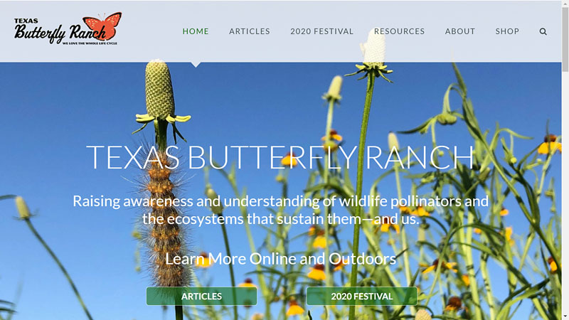 Texas Butterfly Ranch website pollinator resources Central Texas Gardener