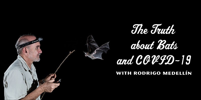 The Truth about Bats and Covid with Rodrigo Medellín Texas Butterfly Ranch