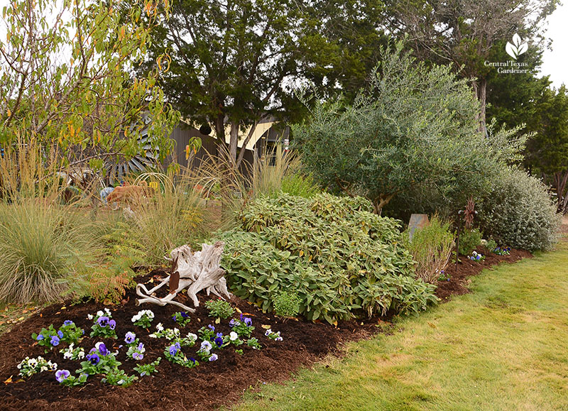 berm water control raised bed shrub screen Julie Nelson and Kay Angermann