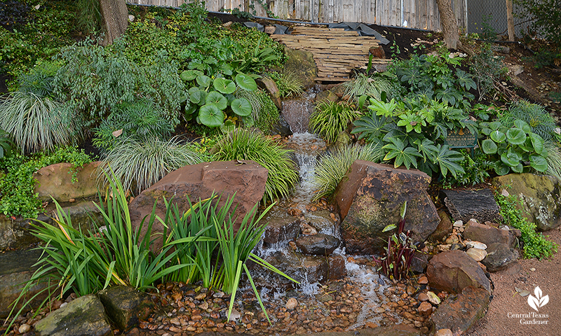 erosion control steep bank Texas Ponds and Water Features waterfall rock and plant design Cosmic Coffee