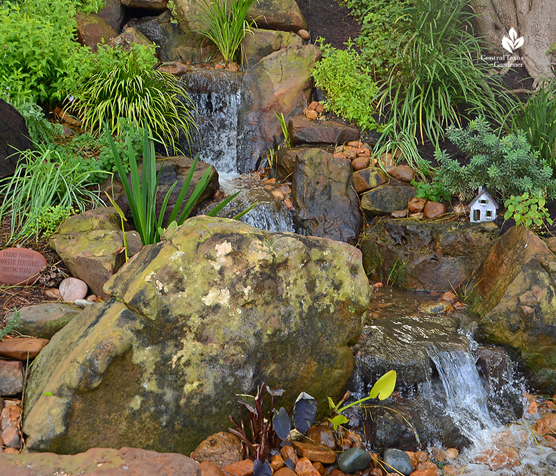 Fairy garden adds to waterfall design Texas Ponds and Water Features Cosmic Coffee 