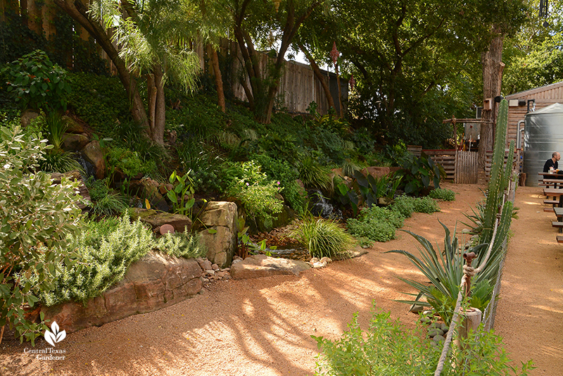 TaraRose plant design Texas Ponds waterfall plantings Cosmic Coffee + Beer Garden