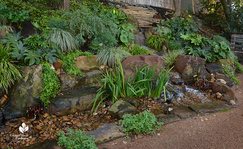 erosion control steep bank Texas Ponds and Water Features waterfall design Cosmic Coffee