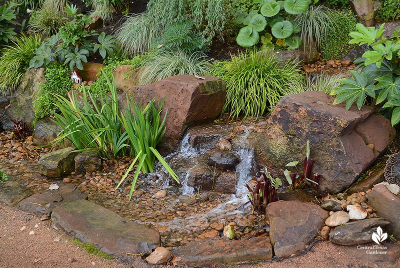 no algae ecological pond stream waterfall Texas Ponds and Water Features Cosmic Coffee